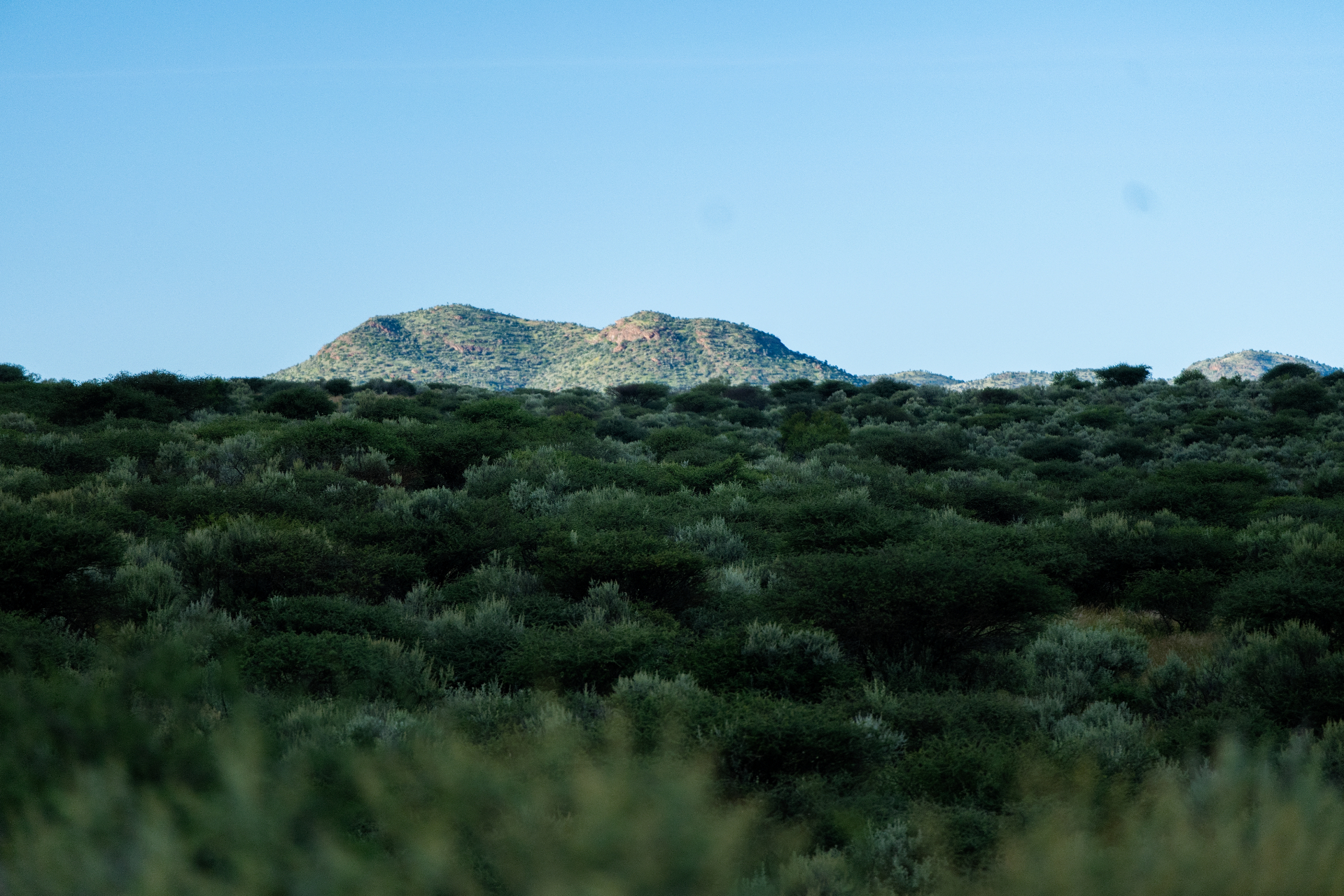 Landscapes